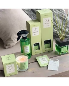 أمبيانتاير-معطر جو مع عيدان " لاكروس" ، 200 مل - شاي أخضر متوفر في ذا سكاوت - عمّان، الأردن