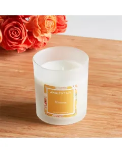 أمبيانتاير-شمعة معطرة بالزهور - الميموزا متوفر في ذا سكاوت - عمّان، الأردن