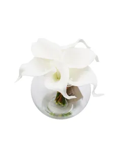 نوفا هوم "Calla Lily" مزهرية زهور - 14 سم - أبيض متوفر في ذا سكاوت - عمّان، الأردن