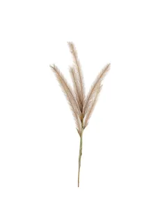 ويفا سيقان وفروع صناعية 11x124 سم بني "Reed" متوفر في ذا سكاوت - عمّان، الأردن