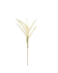 ويفا سيقان وفروع صناعية 11x124 سم كريمي "Reed" متوفر في ذا سكاوت - عمّان، الأردن
