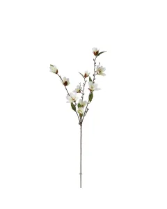 ويفا سيقان وأفرع ماغنوليا صناعية بيضاء "Magnolia" (4 سيقان) متوفر في ذا سكاوت - عمّان، الأردن