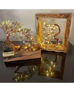 Set of Two – Celadon Green Light Trees on Olive Wood Frame & Base (20×16 cm)