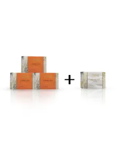 4 Bar Soap Family Assorted Pack (1)