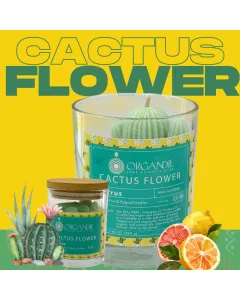 شمعة “كاكتس فلاور” برائحة الحمضيات المنعشة – شمعة نباتية مصنوعة يدويًا من شمع الصويا الطبيعي 100٪ بفتيلة قطنية، متوفرة بعدة أحجام