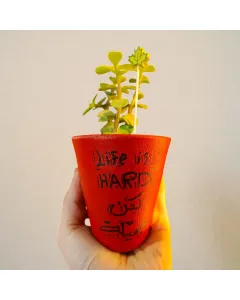 كاسة فخار يدوية مرسومة يدويًا مع زريعة صبار 15×5 سم وعبارات تحفيزية مكتوبة بخط اليد – قابلة للتخصيص بالكامل للديكور المنزلي والمكتبي والهدايا