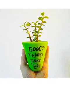 كاسة فخار يدوية مرسومة يدويًا مع زريعة صبار 15×5 سم وعبارات تحفيزية مكتوبة بخط اليد – قابلة للتخصيص بالكامل للديكور المنزلي والمكتبي والهدايا