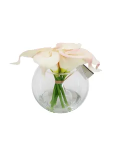 نوفا هوم "Calla Lily" مزهرية زهور - 14 سم - زهري متوفر في ذا سكاوت - عمّان، الأردن