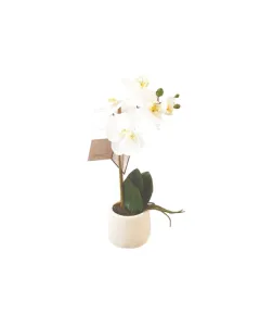 نوفا هوم "Phalaenopsis" مزهرية زهور - 38 سم - أبيض متوفر في ذا سكاوت - عمّان، الأردن