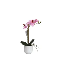 نوفا هوم "Phalaenopsis" مزهرية زهور - 38 سم - زهري متوفر في ذا سكاوت - عمّان، الأردن