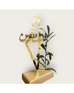 خارطة فلسطين - 40x18 سم متوفر في ذا سكاوت - عمّان، الأردن