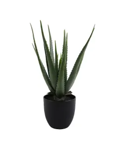 نوفا هوم "Aloe" نبتة صناعية - 55 سم - أخضر متوفر في ذا سكاوت - عمّان، الأردن