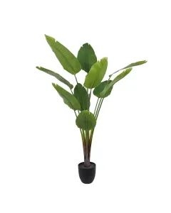 نوفا هوم "Strelitzia" نبتة صناعية - 185 سم - أخضر متوفر في ذا سكاوت - عمّان، الأردن