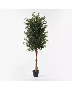 نوفا هوم "Olive" نبتة صناعية - 150 سم - أخضر متوفر في ذا سكاوت - عمّان، الأردن