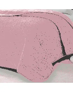 Image of "Nova Home Lynx Engraved Blanket- Pink" from TheScout Marketplace
