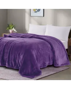 Nova Home Silky Blanket - Single/Twin - Purple available at The Scout - Amman, Jordan